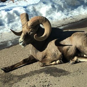 Meet your Posher, Ben